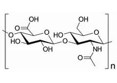 The Building Blocks of Hyaluronic Acid